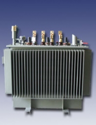 100 kVA 28,5-36/0,4kV A PLUS Alm.Sargı Yağlı Trafo - 1